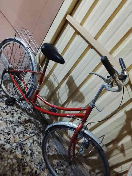 باسكل للبيع.. العنوان الدوره ابو دشير السعر 60 /***********
