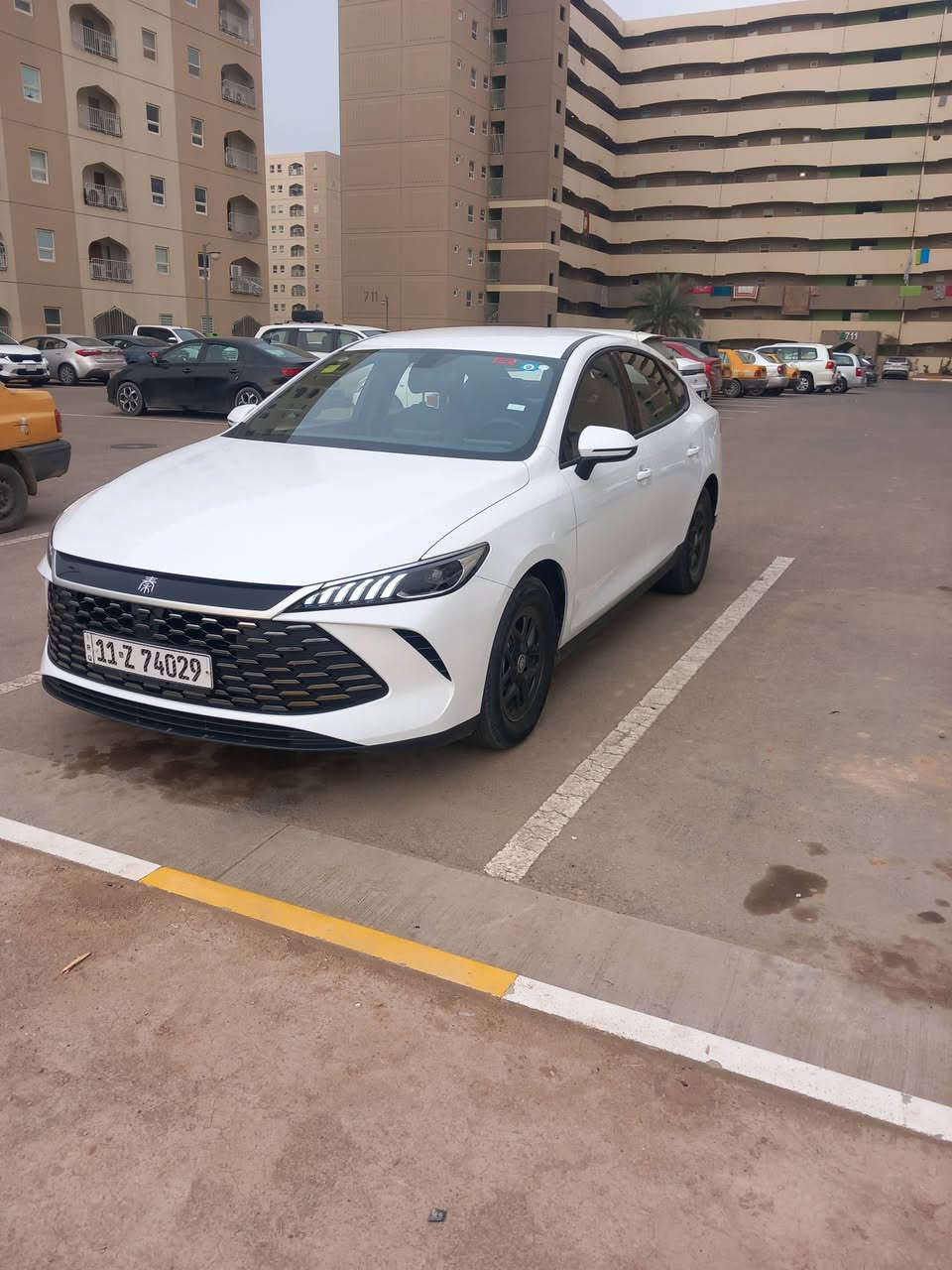 جن بلاس داخل زيتوني موديل ٢٥ ماشية ١٤ الف كفالة بيها رصعة كلش زغيرة مع سبير وارضيات اصلية السعر ١٧٥٠٠ قفل مكان شقق بسمايا ***********
