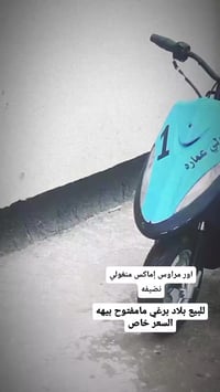 ماكس • أوراق • منغولي