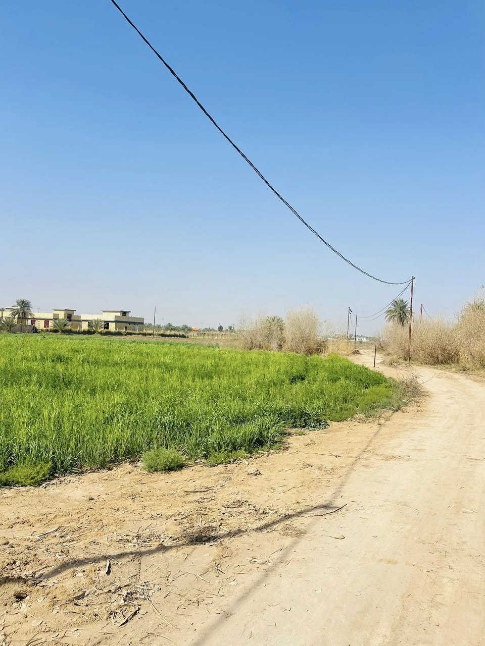 ***********ارض للبيع مساحه دونم او نص تريد ينباع العنوان الحمزه منطقة العلاك
