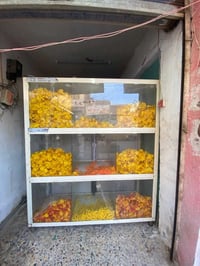 عارضه جبس للبيع+عربانه حب عنوان بغداد٠٧٨١٨١٨٣٠٣١