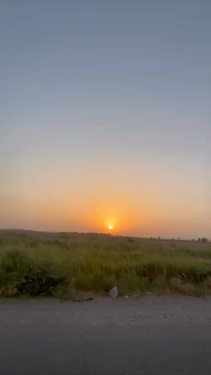 تايكر موديل 21 اوراق كامله السعر 400 وبيه مجال مكاني كنعان ***********
