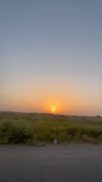 تايكر • موديل ٢١ • أوراق كاملة