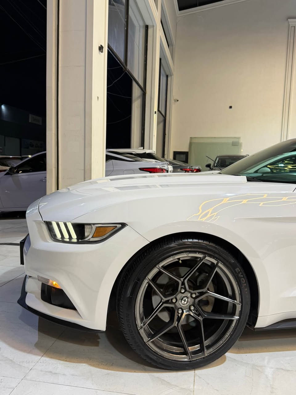 السلام عليكم اخوان موستنك مقدس للبيع مراوس☠️
سعرها جوة سوك فقط ١٦٥$💵 ورقة بيها مجال  
موديل ٢٠١٧ سيارة جديدة كلين تايتل يحني بدون صبغ 
بدون رصعة بدون مفتوع سيارة جاهزة محرك ٦ سلندر 
مرغوب ماشي فقط ٤٣ الف ميل حقيقي ضمان 
مواصفات ٦ سلندر معروف كاميرا تشغيل عن بعد شفتات ستيرن بعد بيها مواصفات 🇺🇸😈
كير محرك اكسل مشط ستيرن حدادية كهربايات 
كل ضمان برغي ماملعوب مامفتوع سيارة مرقم اربيل تعويل وكالة نفس يوم موجودة ب اربيل *********** أربيل, العراق
