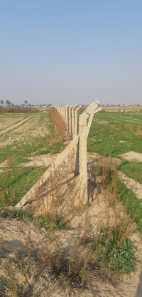 دنك • عدد ١٠٠ • واسط الدبوني