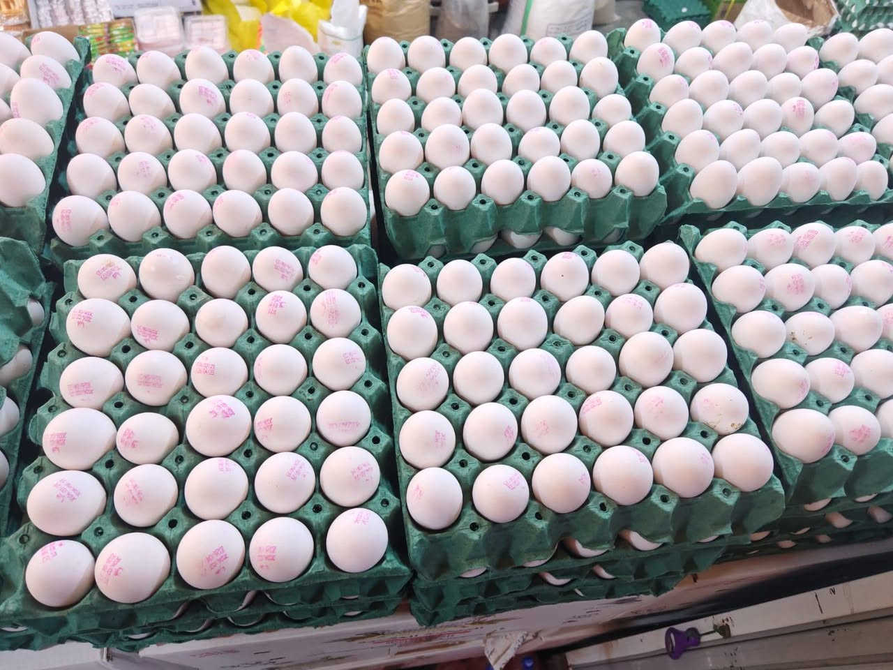 السلام عليكم زبائننا الكرام 
تم وصول بيض عراقي إنتاج جديد سعر الطبقه#_4000 
#_عروض_رمضان_ماتخلص_
الفرع الأول #محلات_المشعان_مقابل_كماليات_العائله
الفرع الثاني 
#مجمع_المشعان_وسط_السايدين
للإستفسار الاتصال ***********
