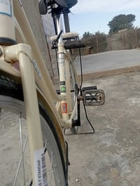 باسكل • نضيف • حي العسكري