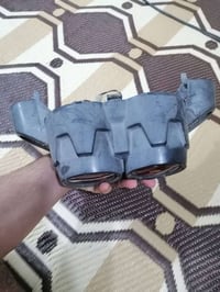 سنكس جبلي • تاجي ابوعضام