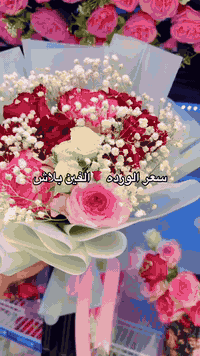 بوكي ورد طبيعي خطوبة🤵💍👰سعر الورده الفين فقط خليك مميز واهدي من تحب اجمل بوكيهات الورد الطبيعي🌹 ♥️ 
متوفر دفع  ماستر او رصيد اسياعنوان  ميسان/قطاع 28شارع السوك مجاور مجمع محمد الموسوي يوجد لديناخدمه توصيل 🚕 رقم الهاتف طلب السريع ***********
