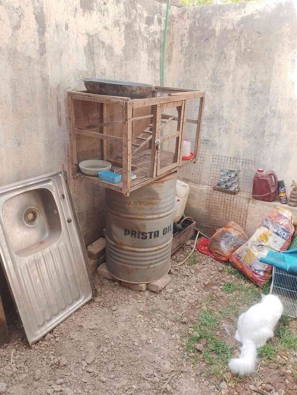 موجوده غراض البيع مقطوره ماء وبرميل نفط وسنك حوض واحدوالثاني حوضين وقفص مال طيور وكاونتر مخلوع الباب والجراره


**إذا كنت صاحب هذا الإعلان وتريد حذفه لأي سبب، رجاءا أرسل رسالة إلى الدعم الفني**