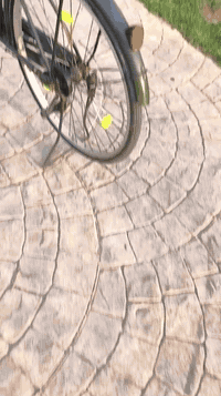 بايسكل سانتوس زيتوني مديل الفين وعشرين بسعر 135 بي بي مجال / البصره حي المهندسين***********
