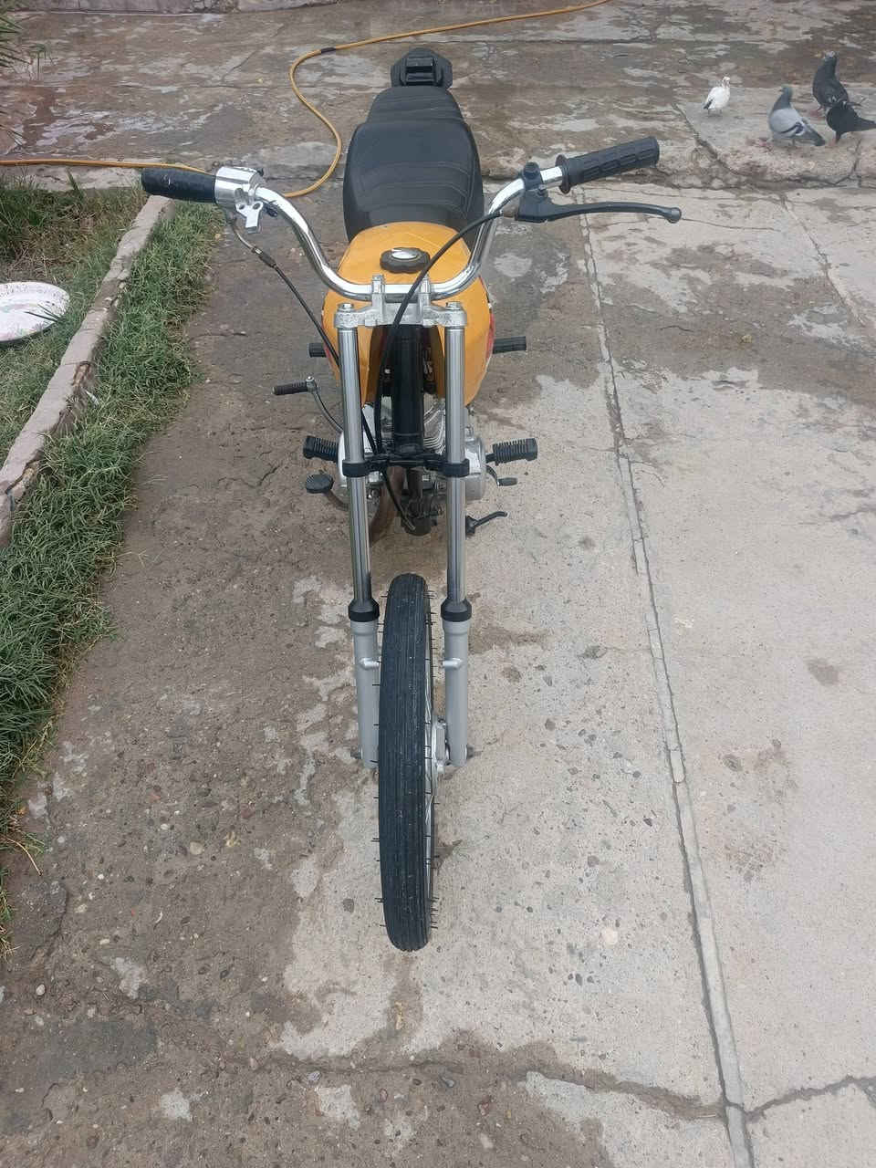 لبيع ادوات مكاني خور الزبير  سعر 375بيه مجال مستعجل عل بيعه  رقمي واتساب ***********
