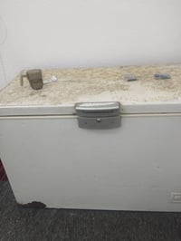 مجمدة • فول تجميد • النجف