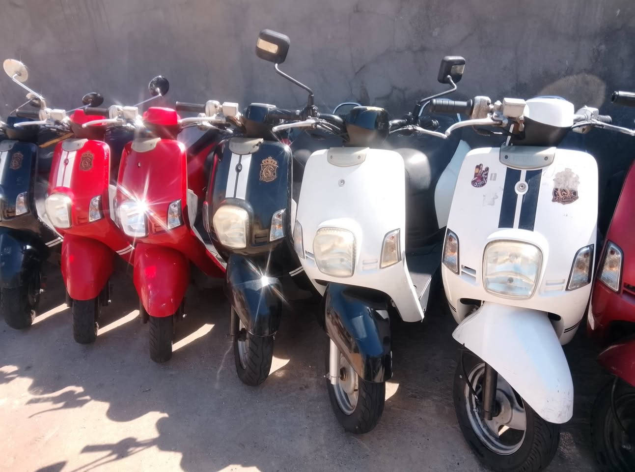 ✨ يا الله، السلام عليكم ورحمة الله وبركاته ✨
تم بحمد الله فتح حاوية رمبة 🔥

🔹 البيع جملة ومفرد
🏍️ دراجات ماكس بوليسي
🔧 نوزلات وكابريترات
🎨 جميع الألوان متوفرة

📍 العنوان:
بغداد - المدينة

📞 للاستفسار والتواصل:
***********

أهلاً وسهلاً بالجميع 🌹

