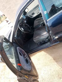 سوناته • ١٩٩٤ • لكرمه