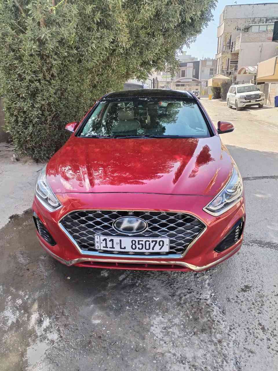 للبيع سوناتا 2019 وارد أمريكي ✅ 
لون ماروني 
وارد امريكي ( بنيد صبغ + جاملغ سايق بارد بدووووووون ايرباك )
ماشية 40 الف ميل قابل للزيادة
المواصفات لمتد بانوراما 
رادار امامي خلفي
كشن السايق كهرباء
كشنات تدفئة
استيرن تدفئة
اشاير بالمري
تحديد مسار
نظام اوتو هولد
سايد بريك بصمة
لايت زنون
داخل اوف وايت
فول تحكمات ستيرن
السيارة باسمي تحويل مباشر 
155$  بي مجال 
مكان السيارة بغداد القادسية 
رقم تلفون ***********
