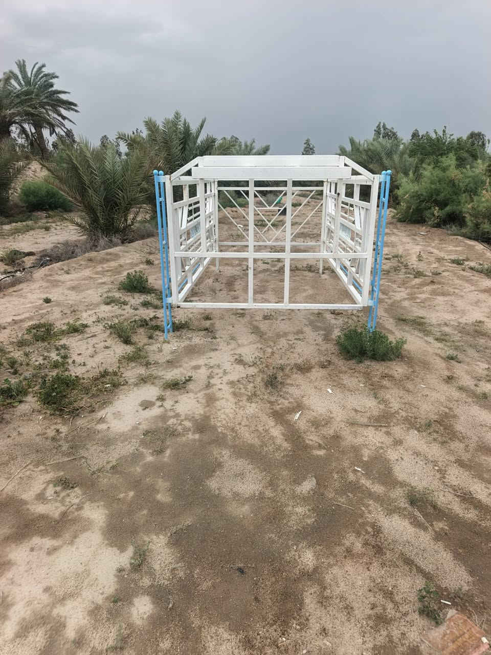 سلام عليكم محجر كيه فحل للبيع ***********
