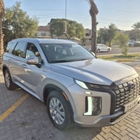 باليسايد • ٢٠٢٣ • وارد أمريكي