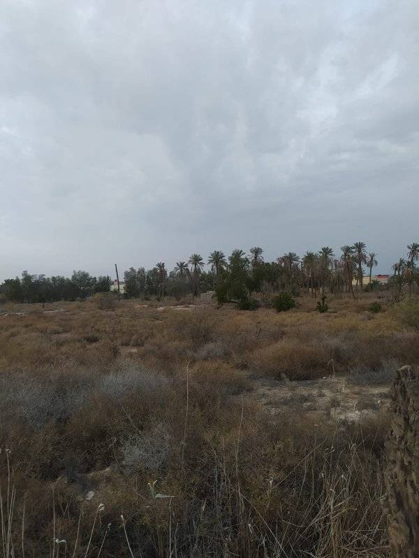 بسم الله الرحمن الرحيم اسعد الله اوقاتكم احبتي يتوفر لدينا 11 دونم للبيع طابو زراعي عراقي تحويل عنوان البصره ابو الخصيب حمدان معاريف سعر دونم 310 وبيه مجال مع كافه الخدمات ما كهرباء مدارس ***********
