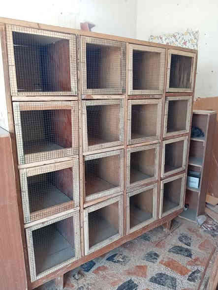 خانات مرتبات وحده بيه ١٦ وحده بيه ٩كبار وحده ام ٢ كوت حي جهاد ***********
