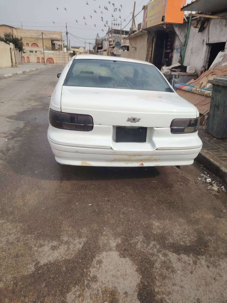 دولفيل جاهز مكينه وكيري احداديه تخم تاير توني شاده رقم نينوه ١٣ ورقه *********** مراوس
