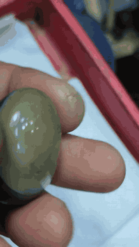 الصوره هي التي تتكلم / واتساب ***********/ يوجد توصيل لجميع المحافظات
