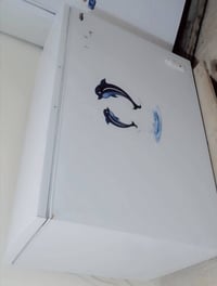 مجمدة • حجم ١٦ • للبيع