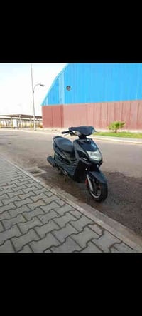 سكنس للبيع 07712381206