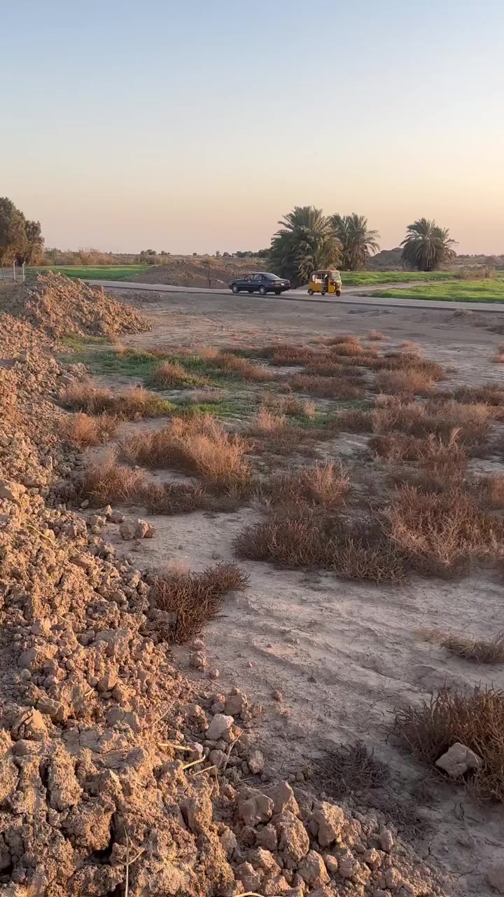 السلام عليكم ارض زراعيه. 
ماي وكهرباء. بنصها. 
محوله. كهرباء. بنصها. كاع كلها حلوه.وزراعيه 
عقد. زراعي. 
مكان. الكاع بين الرفاعي. ونصر. طريق كله. تبليط. قرب ناظم. رقم أربعه. 

مساحه. الأرض ٣٨ دونم. ***********
