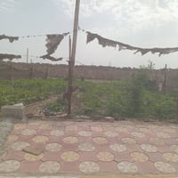 ٢٥٠م • على الشط • حديقة