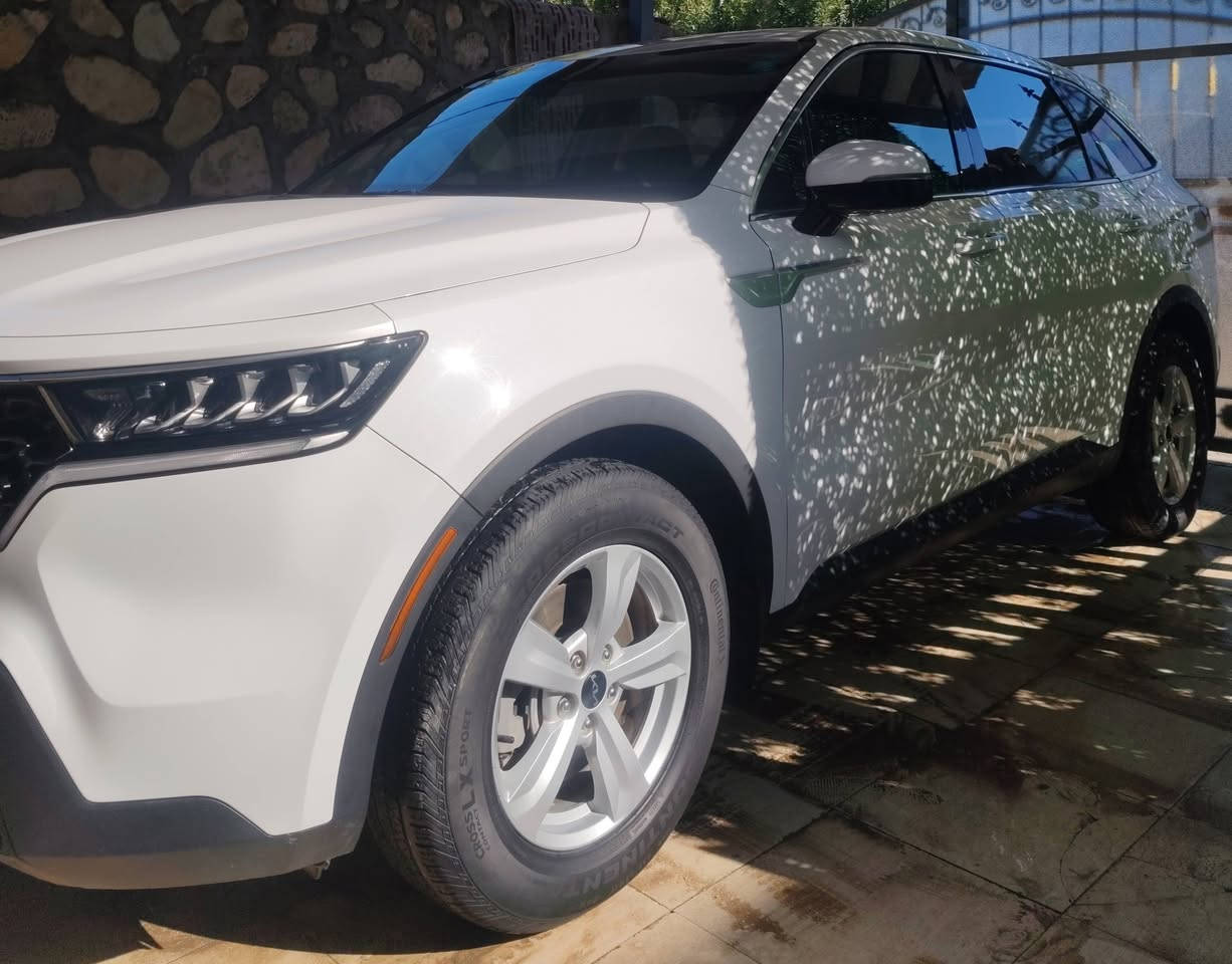 سورنتو 2023 وراد أمريكي مواصفات LX كفالة عامة من الصبغ حادث قبق الصندوق بي جزء تصليح بارد بدون صبغ بدون ايرباك صور الحادث بالمنشور مكينة 4 سلندر 2500 سبعة راكب ماشية 45 رقم بغداد دولي تحويل مباشر السيارة جاهزة ما بيها اي نقص السعر  235 للأتصال ***********
