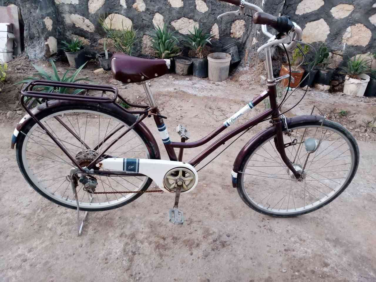 سلام عليكم بيسكلات للبيع ياباني حجم 26 كير وحساس  مكان حلة نيل مقابل كوين بارك تيرات وجوابة جدد التفاحي ب65 ول ثاني ب80


**إذا كنت صاحب هذا الإعلان وتريد حذفه لأي سبب، رجاءا أرسل رسالة إلى الدعم الفني**