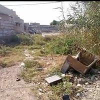 قطعة ارض زراعية بسند وحدها سند ٢٥ مساحة ٢٥٠ متر واجهة ١٢ متر عنوانها ج...