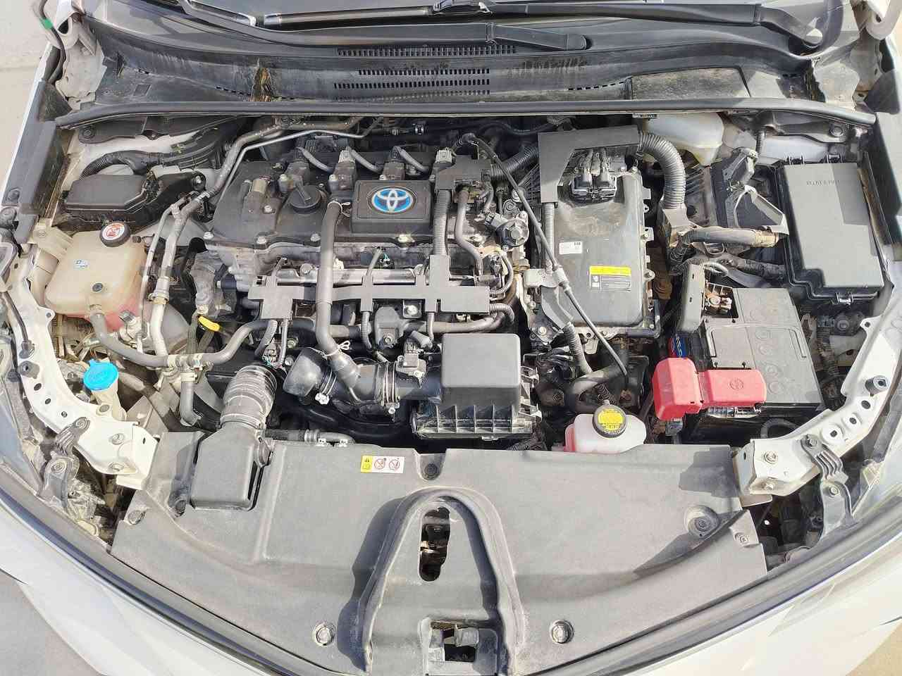 سلام عليكم
للبيع تويوتا كورلا هايبرد موديل 2023
وارد امريكي شكل خليجي ياباني اصلي  حادثهة بنيد وجاملغ ايسر مبدل بدون دواخل نفس اللون 
مواصفات بصمة تشغيل ومري شفط تحكم ستيرن رادار امامي حساس خلفي 
السعر: 140$ وبيهة مجال 
العنوان:  بغداد العامرية 
اتصال:  ***********
