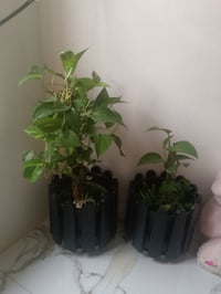 ٢ب • ديكور • حديقة