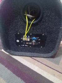 ستوت • شغال • طوريج الجمعيه