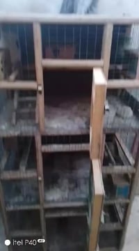 قفص خانات • خشب تركي • أبو الختم