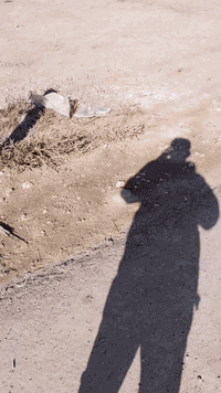 كاع الزكندري • 365م • طابو زراعي سند 25