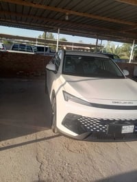 بدون لوحات • وضع الشركة • المثنى