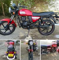 دأيون للبيع 2021 أواراق استنساخ 07828808810 07742384495