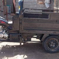 ستوته كلك • ٢٠١٩ • مكفوله