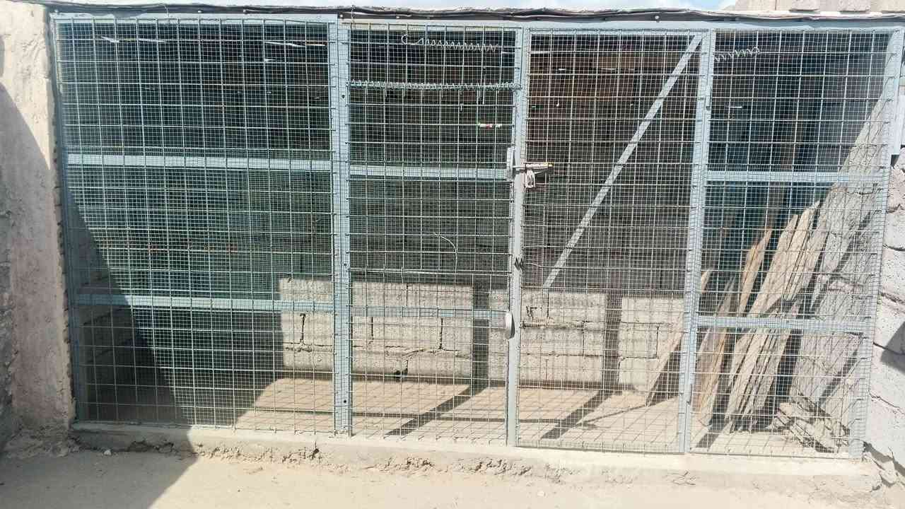 سلام عليكم متاح وجهيه 3ونص ورتفاع 180 تريده وجه وضلع تريده بس وجه مكاني نهروان شارع الشمري سعر 115


**إذا كنت صاحب هذا الإعلان وتريد حذفه لأي سبب، رجاءا أرسل رسالة إلى الدعم الفني**