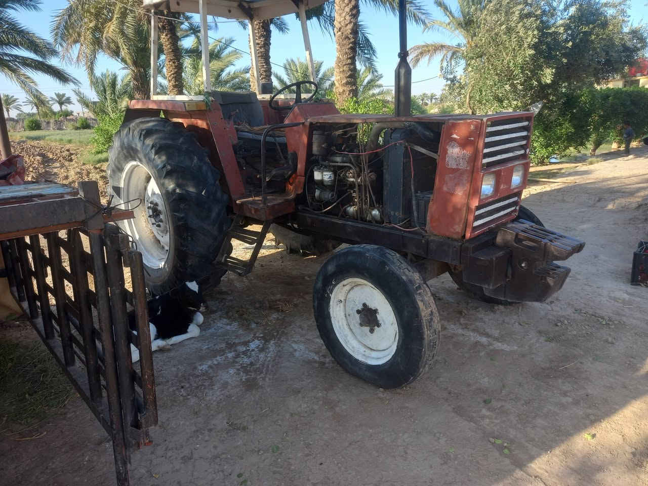 فيات البيع موديل ٨٤ مكان حله جبله***********
