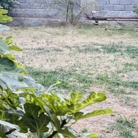 دار 🏠 للبيع  المساحه 470م الموقع طريق المعاره شارع سيد سهيل  يحتوي على...