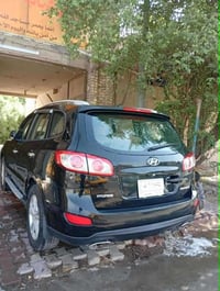 سنتافيا • ٢٠١٠ • ٧ راكب