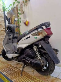 سكنس فحل ام طلاعات مكفوله كفاله عامه مكينه ناعمه بلادي شرط الفحص نكره ...