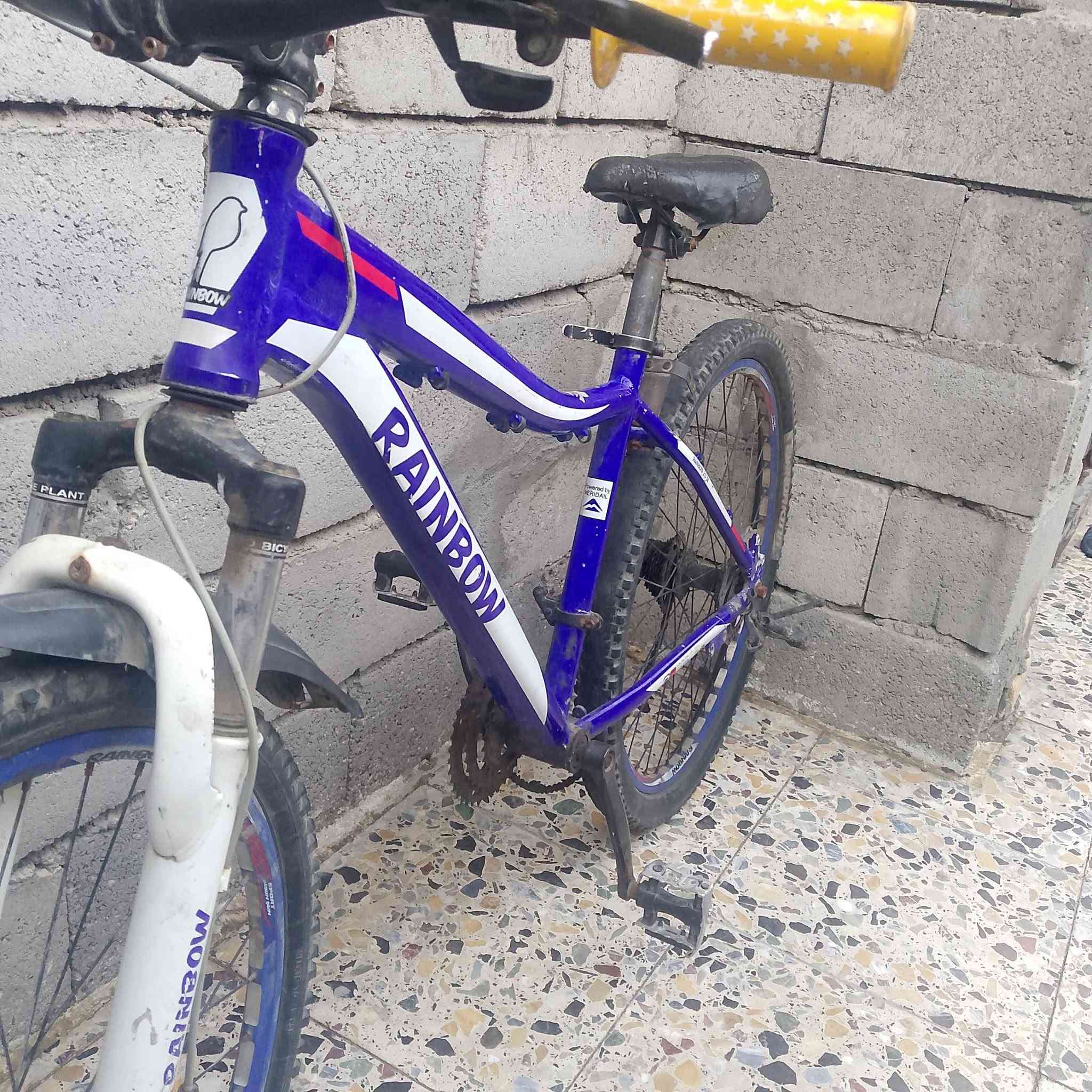 باسكل رياضي حجم 26 شركة يلدز باسكل نضيف المكان حيانية شارع الطاك باسكل كامل نقصة فقط فريول لون ازرق سعر 100. وبي مجال


**إذا كنت صاحب هذا الإعلان وتريد حذفه لأي سبب، رجاءا أرسل رسالة إلى الدعم الفني**