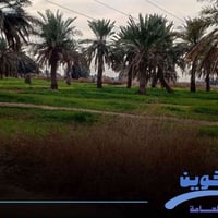 ١٠ دوانم • أرض زراعي • جسر ديالى الكرغولية