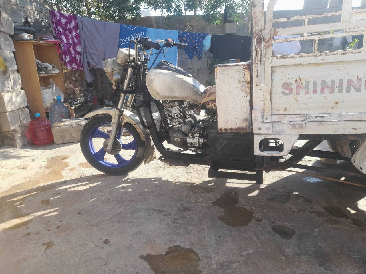 ستوته بلديه وراق صلي مكفول من الحيم  السعر ٧٠٠  بيهه مجال ***********
