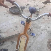 باسكل • ذهبي • قابل تفاوض